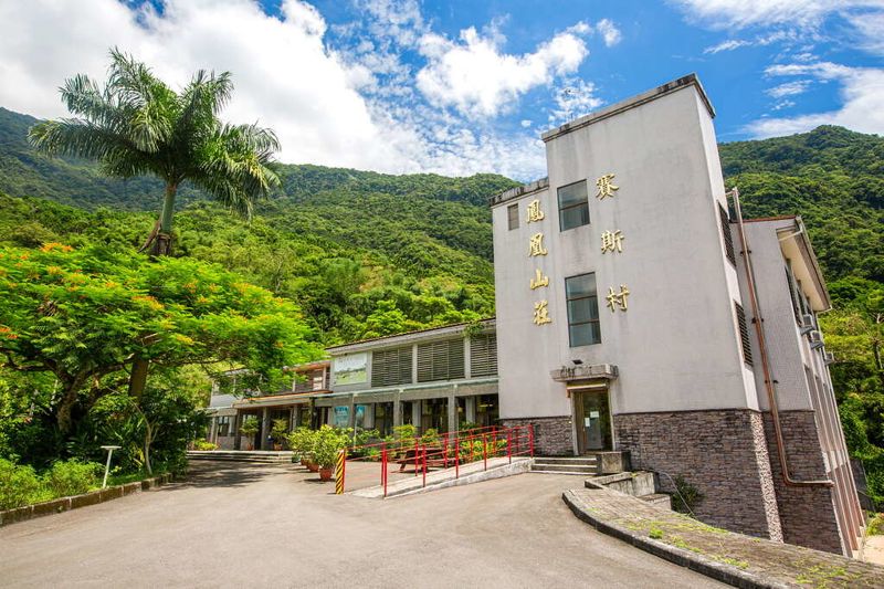 花蓮鳳凰山莊改渡假園區 環評生態調查竟發現台北樹蛙