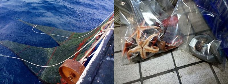 跟著研究員出航 海研三號工作實記