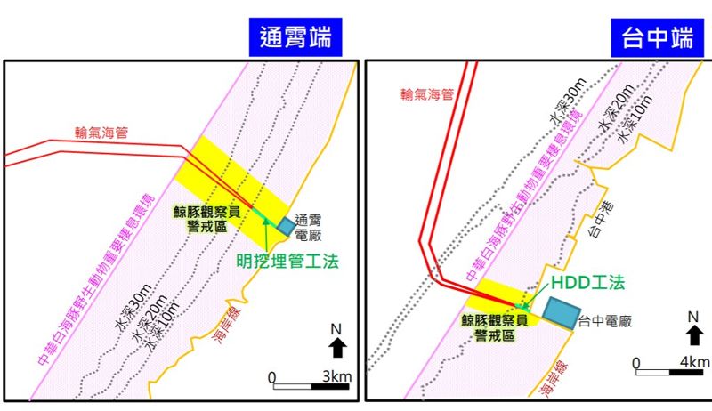 台電挑戰自供天然氣 海底管線穿越白海豚棲地惹議