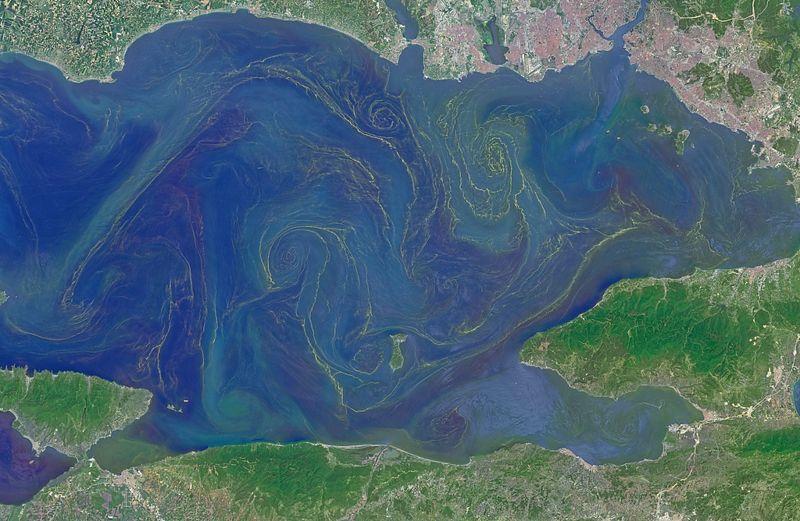 全球暖化釀嚴重海洋生態災難 科學家憂「大滅絕」再現