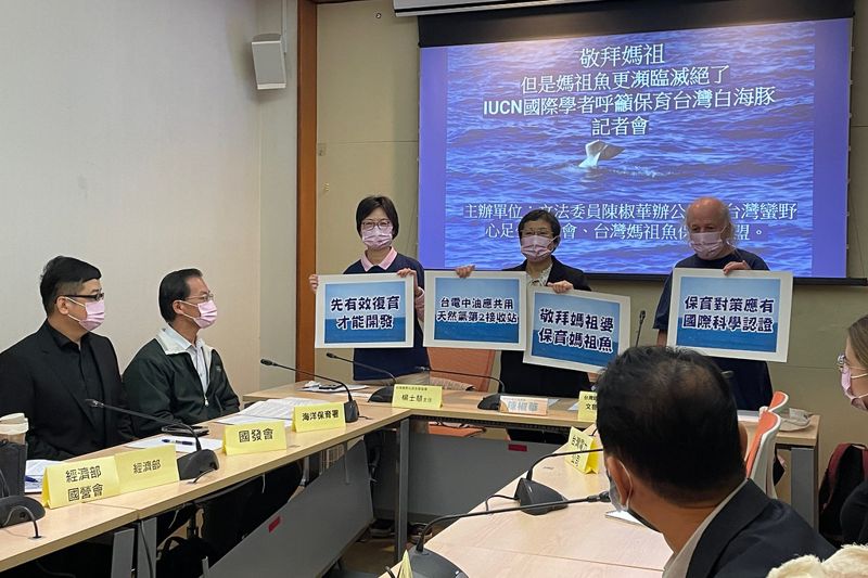 瘋媽祖別忘「媽祖魚」 國際自然保育聯盟：台中港擴建將帶來白海豚災難