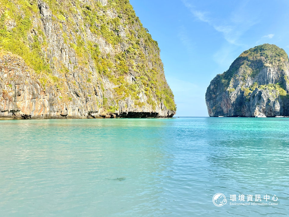 站在岸邊就能看到海中有長條黑影游動，可能是小黑鰭礁鯊，約30公分左右，背鰭尖端有明顯黑色。攝影：黃小莫