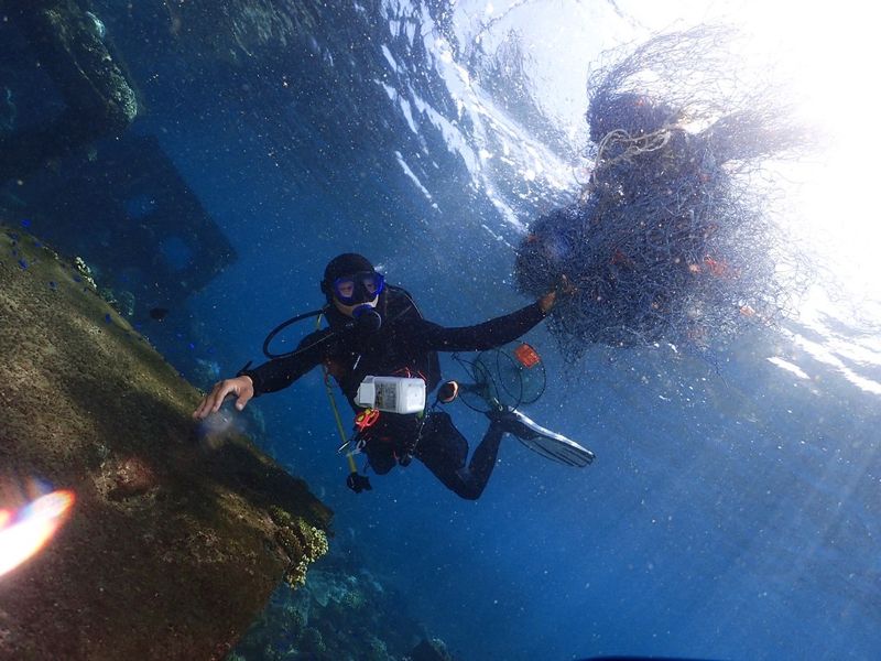 是誰遺失了蟹籠、讓集魚器亂跑 看跨國專家如何阻止這場海底大獵殺