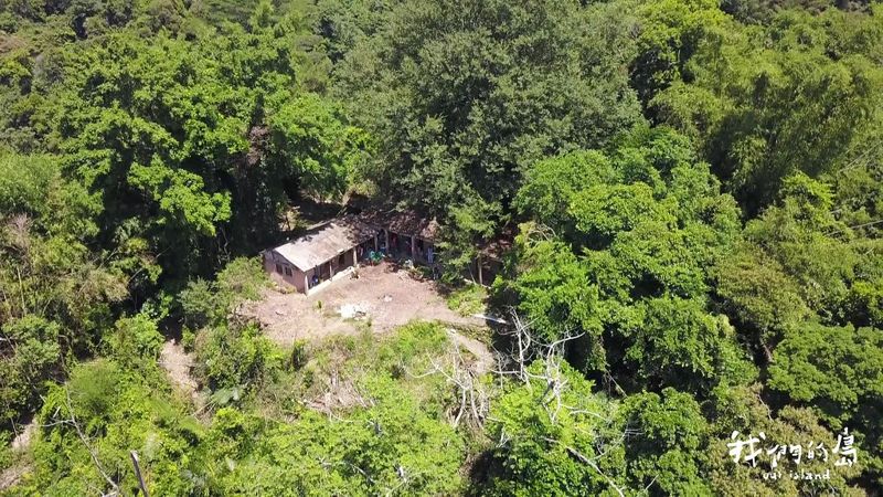 山貓森林拚保育 讓野生動物能安棲的土地