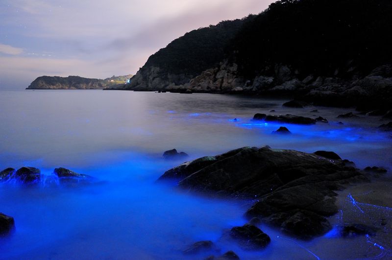 魔幻景色來自天時海利 馬祖海上桃花源之「藍眼淚」
