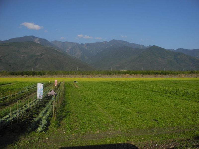 到里拔哈生態農場‧快樂散步（上）