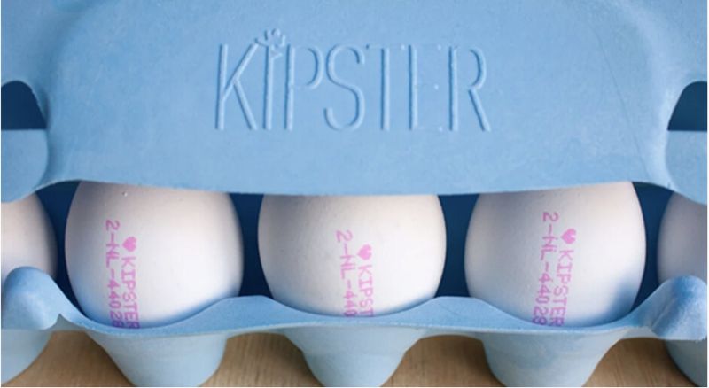 對母雞好、對環境也好 荷蘭品牌 Kipster 碳中和雞蛋成超市搶手貨