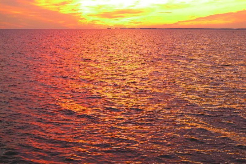 半永久性熱浪來臨? 美國研究:海洋熱浪漸增 將威脅沿海生態