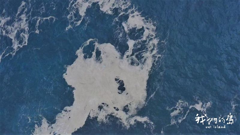 火山浮石漂流記 漁業與生態影響引關注