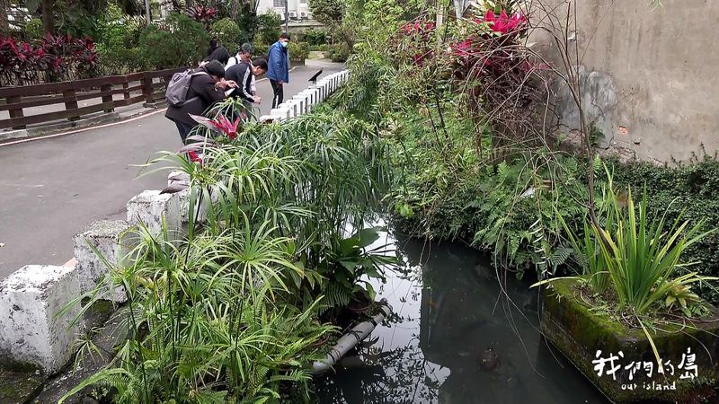 水城台北的過去與未來 被加蓋的百年古水道