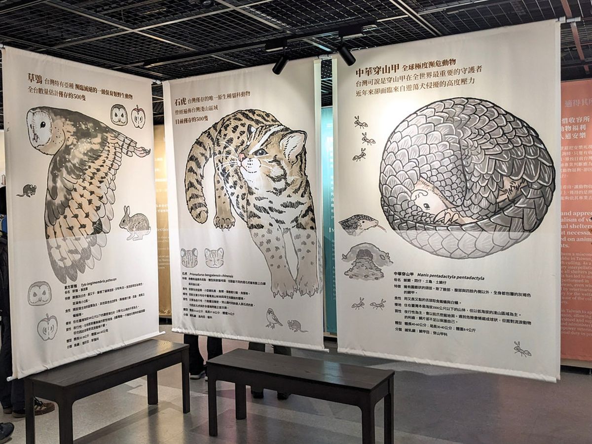 浪犬侵擾野生動物嚴重 壽山「適得其所」展串聯動保推認養