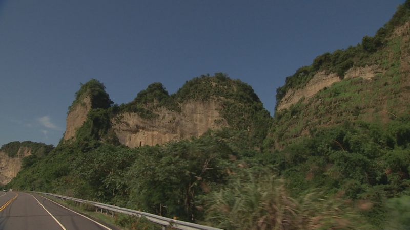 樹之死、六龜之生 灌毒事件還是無解！