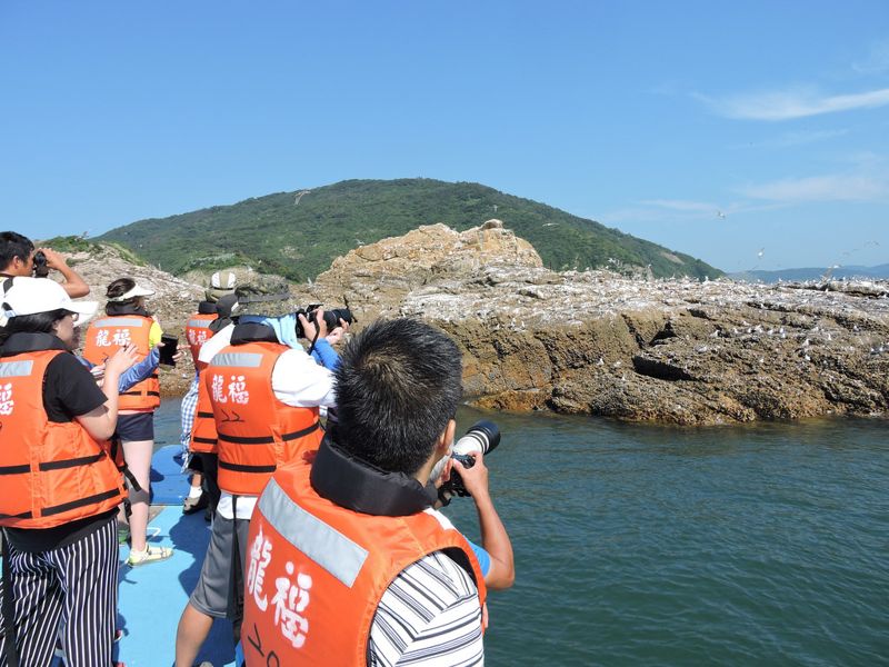 小島、海洋、螢火蟲 馬祖海上桃花源之燕鷗行
