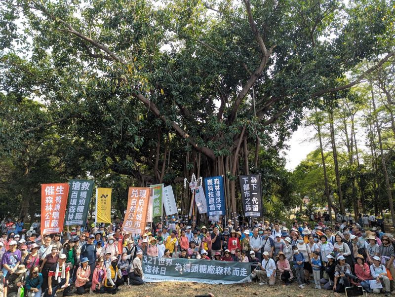 響應世界森林日 民團呼籲搶救糖廠百頃森林 反對橋科聯外道路切割