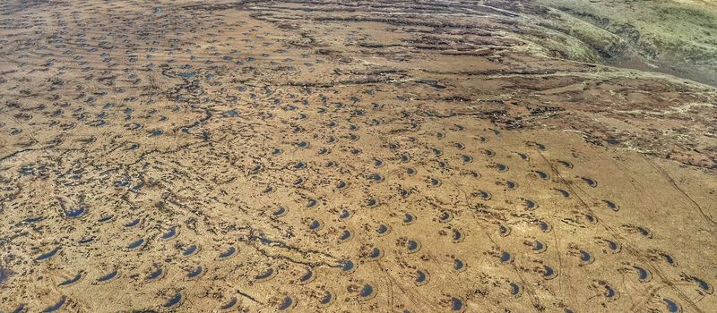 英國泥炭地變身「巨大海綿」 有助提升抗洪水、儲碳能力