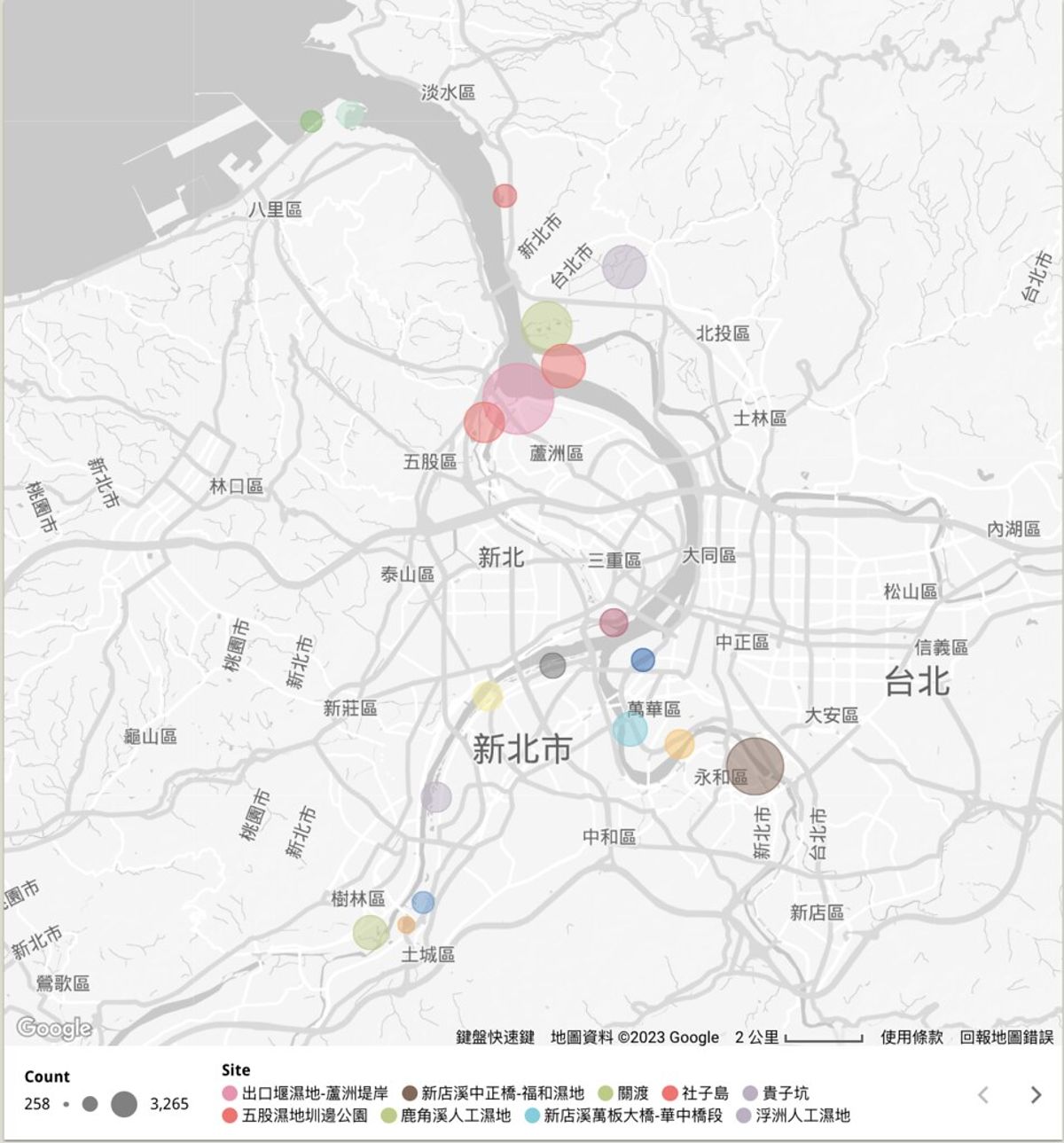 淡水河同步鳥調邁第八年 視覺化圖資首度呈現鳥類變化