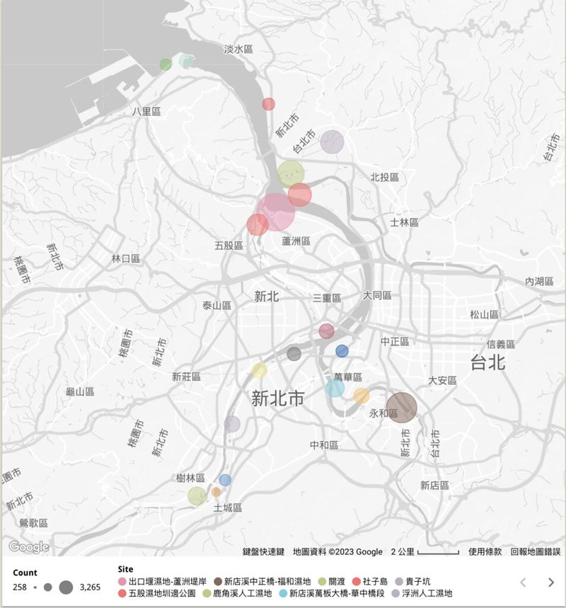 淡水河同步鳥調邁第八年 視覺化圖資首度呈現鳥類變化