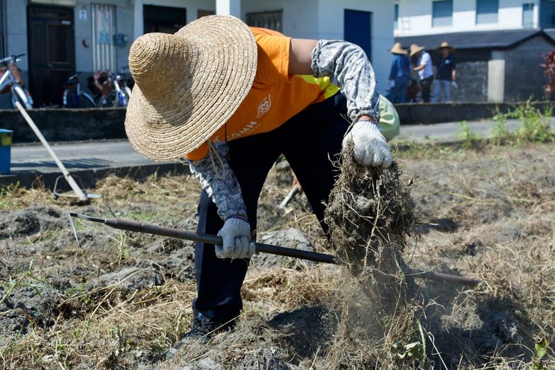 山海之間慶秋收 泰科體驗南澳友善農耕