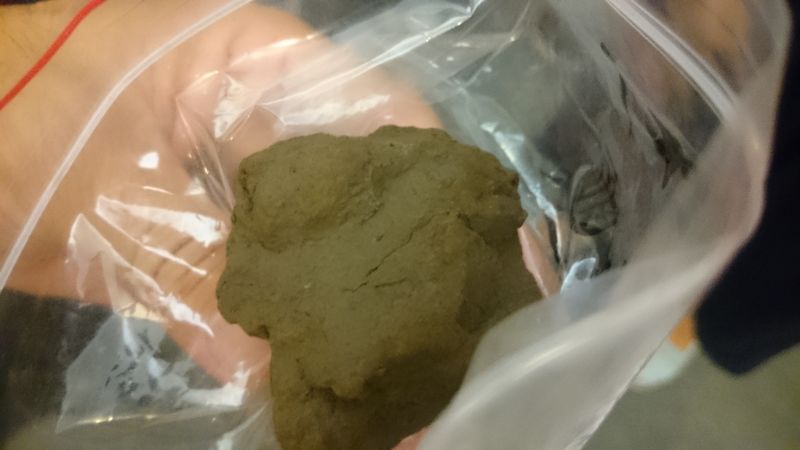 含戴奧辛集塵灰「填海造島」 新竹新豐淪最毒海岸線