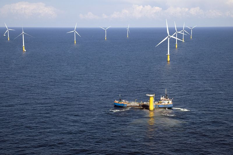 離岸風電兼顧生態安全 借鏡荷蘭五年海洋生態計畫WOZEP