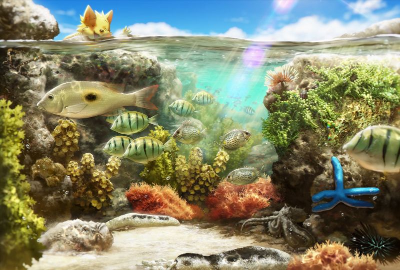 《海洋博物誌2》珊瑚礁中的爾虞我詐 : 偽裝與擬態