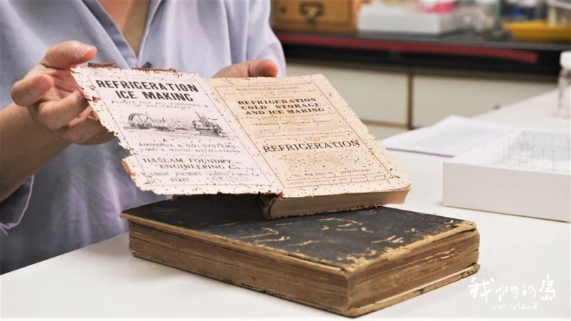 親愛的蟲房客 科博館邀民眾蒐集家中昆蟲 探索古書、衣物裡的生態系