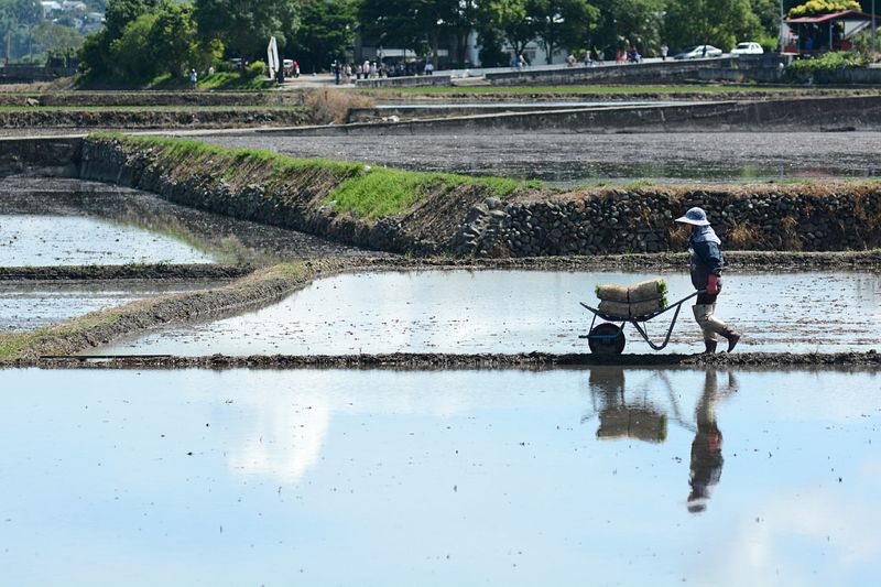 施柏榮：壓垮台灣農業的最後一根稻草——高貿易依存下的糧食安全問題