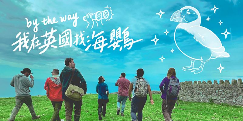 我在英國找海鸚