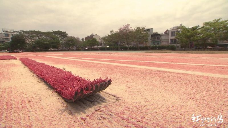 PU「落漆」不上道 地方學校興起草地操場風潮
