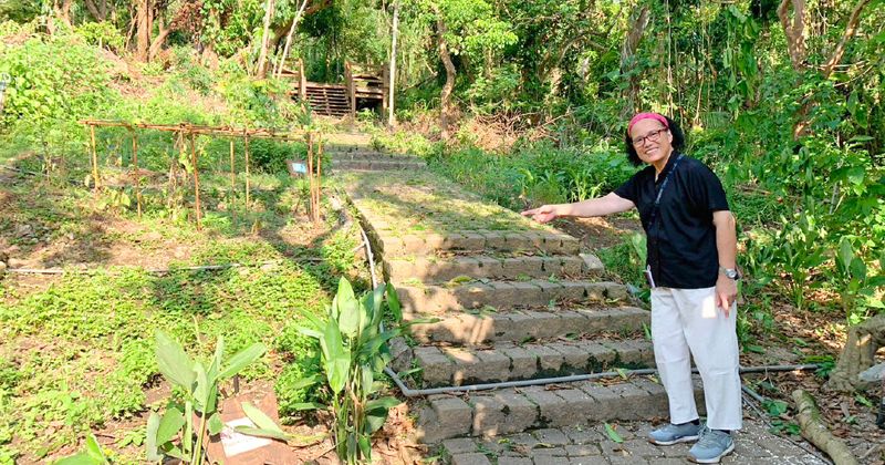 上山採集——野菜教母的自然食育教室