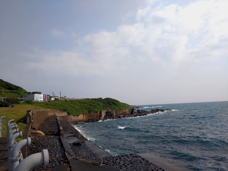 台灣九成海域未受保護 海保法草案公聽會聚焦「30×30」接軌國際