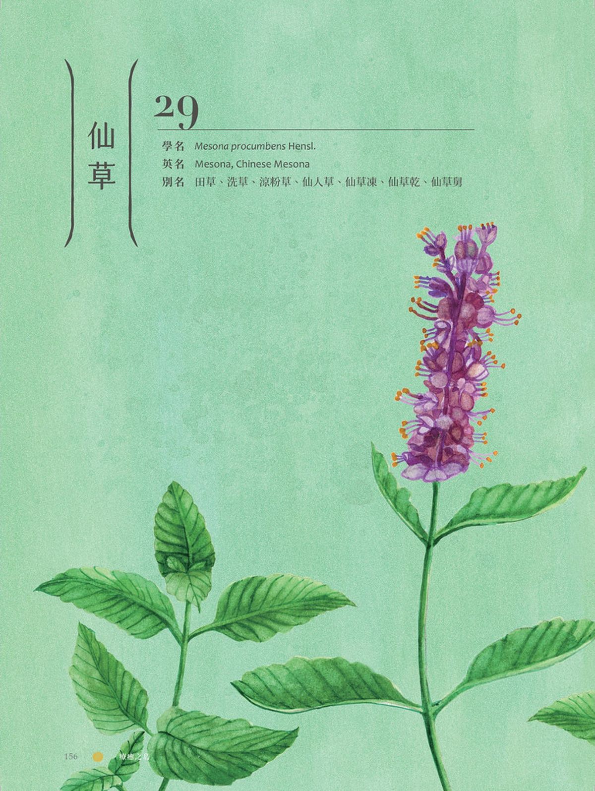 《療癒之島:在60種森林香氣裡,聞見台灣的力量》硬頸的氣味——仙草