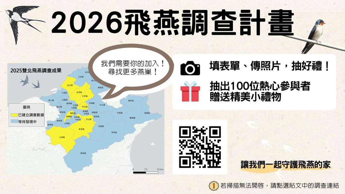 【景澤創意╳川流之島】2026飛燕調查計畫
