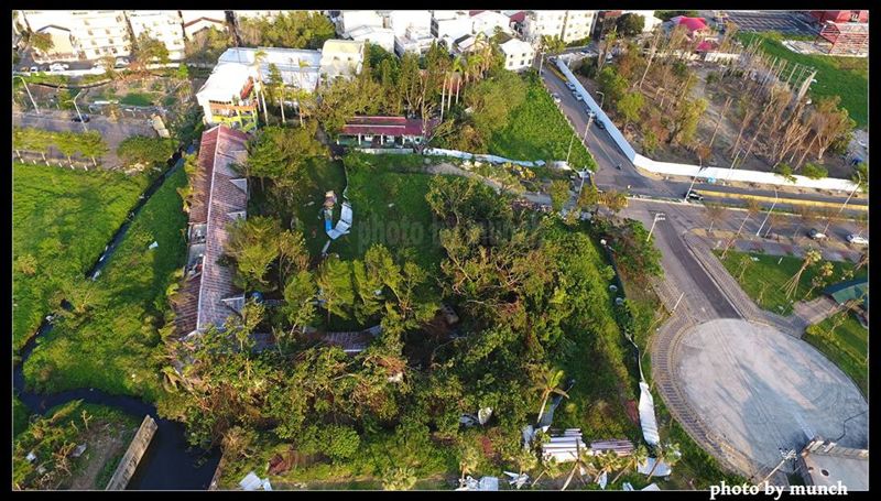 擁綠地教生態 台中黎明幼兒園面臨拆除