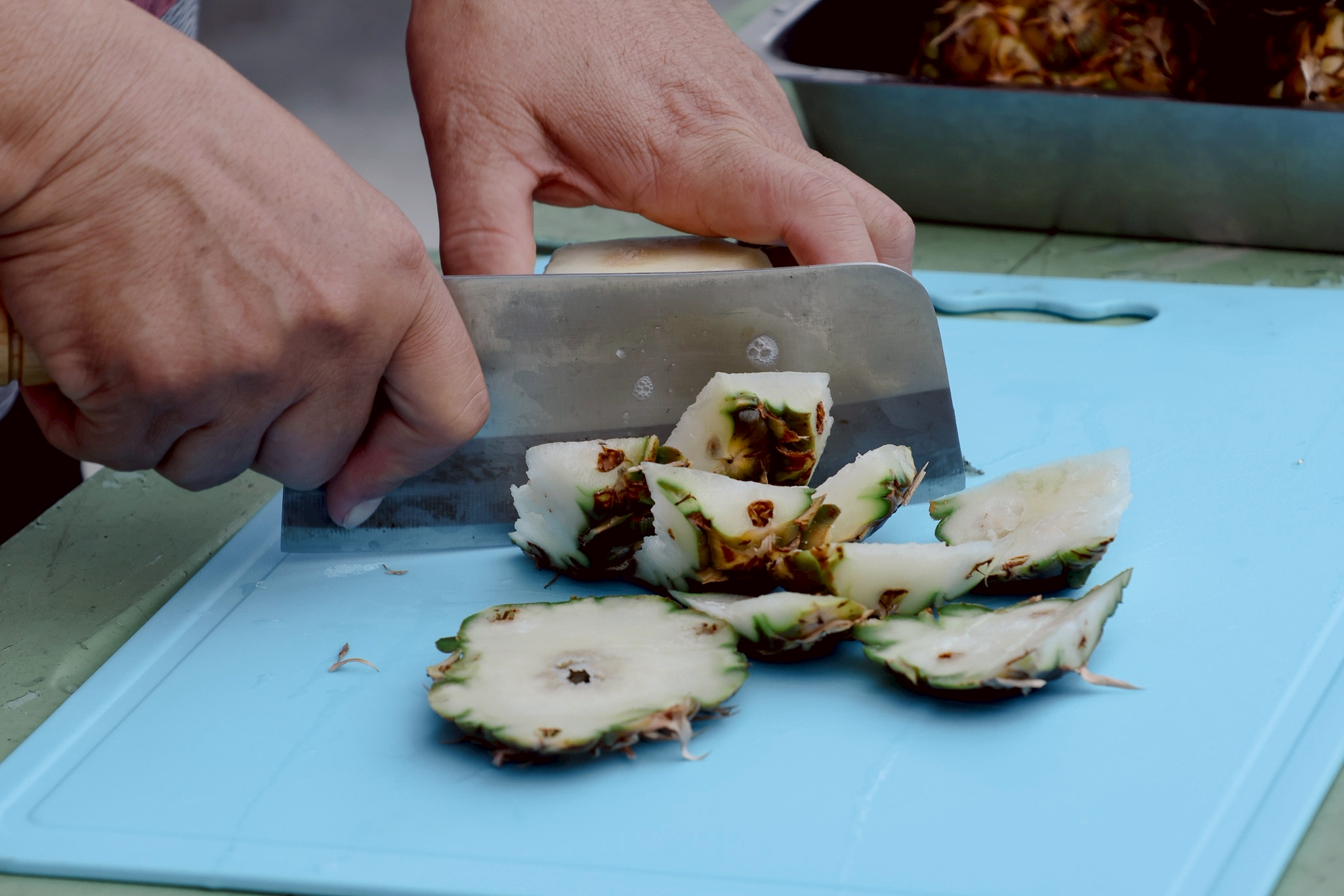 生態講座邀請東海大學環境與生態研究中心輔導專員高明脩擔任講師，分享農業與野生動物之間的衝突案例，思考如何在保育與生產之間尋求平衡與長期解方。