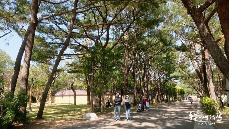 當軍營變公園 曾經的軍事禁地變身城市生態跳島
