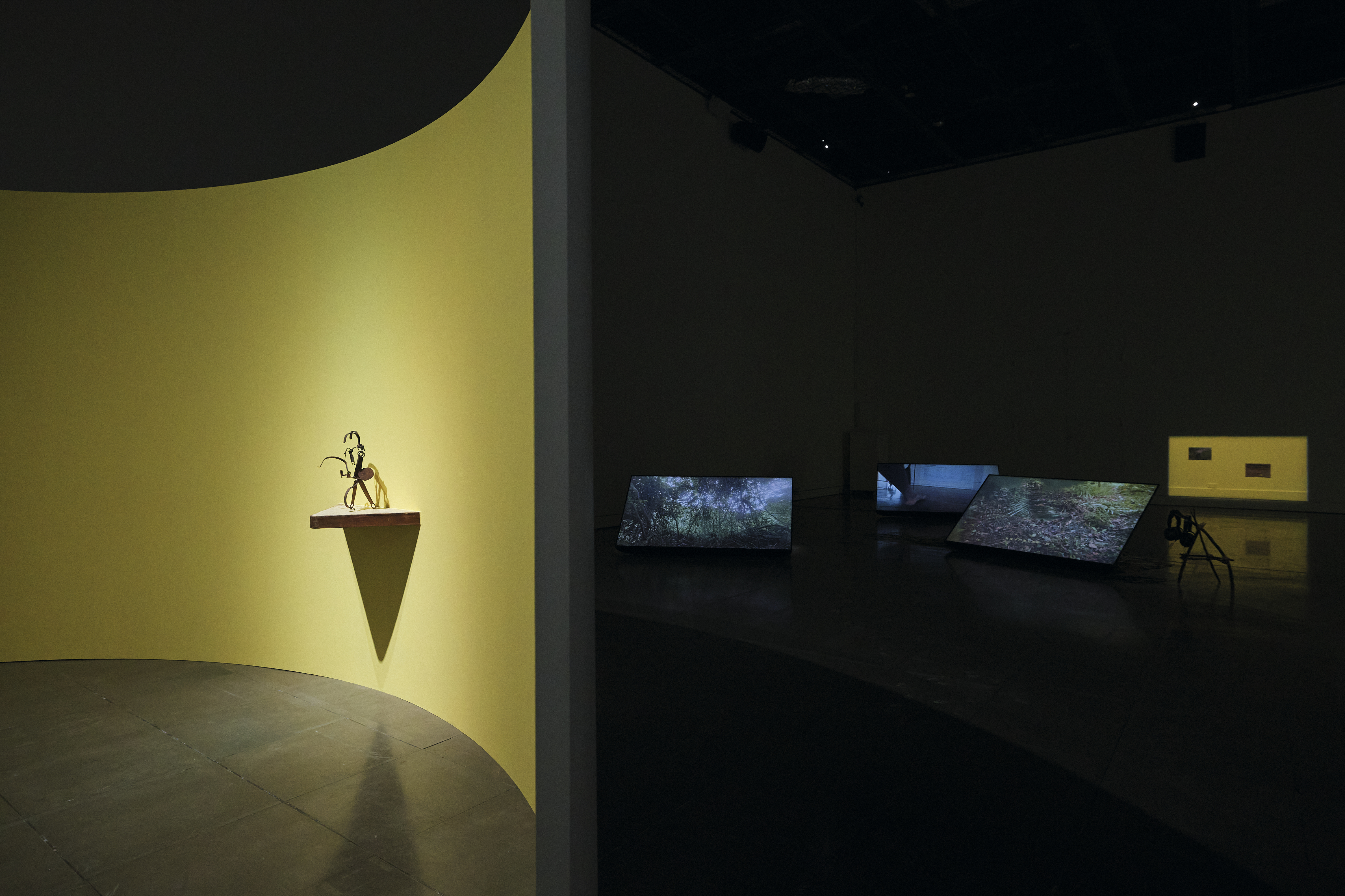 尹子潔作品《如何達到平衡 II》以「三腳狗」為意象，透過裝置、影像與捕獸夾雕塑等元素，回應人與自然、文化與社會之間的張力。圖片來源：台東美術館 提供