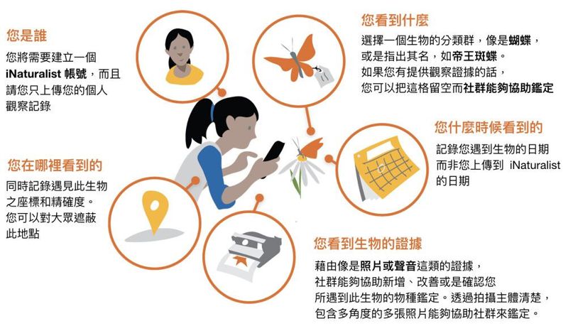 iNaturalist使用指南大公開！人人都可成為自然觀察家
