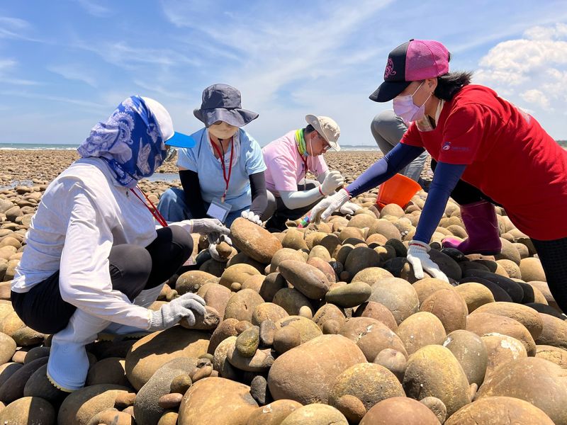 生態工作假期搬石守滬 新屋百年永續漁法