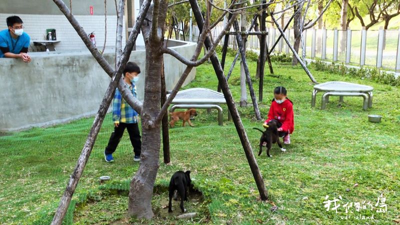動物收容所新模式 從鄰避到鄰愛