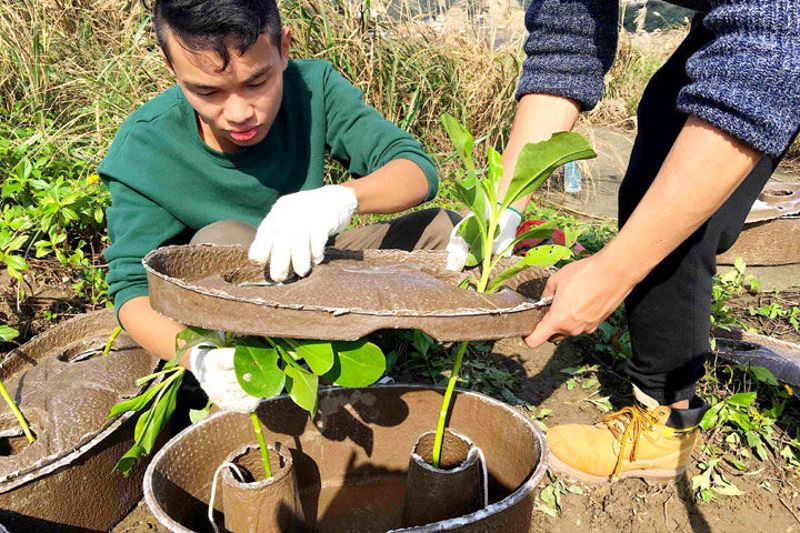助海岸造林 慈心種樹團隊研發「水寶盆」不缺水配方