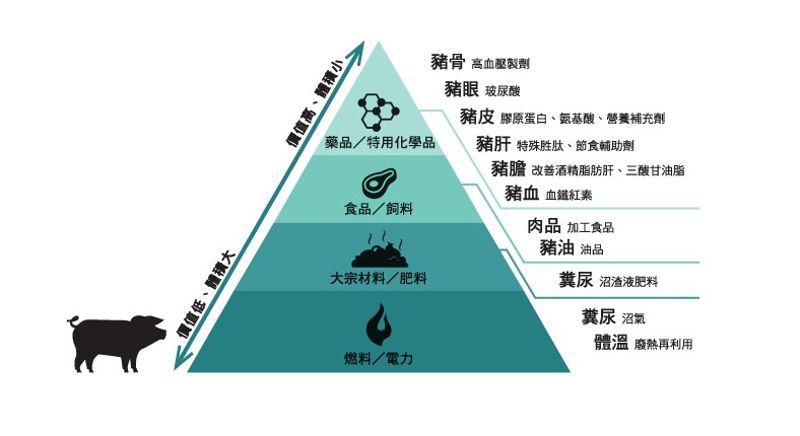《循環台灣》豬血只會想到豬血湯？ 全豬利用如何躍升億元身價
