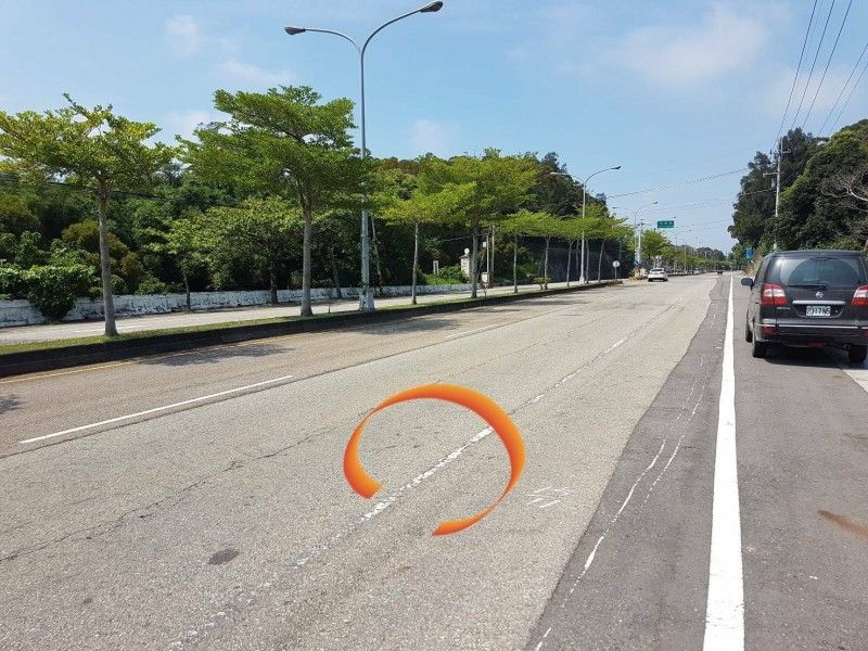 台一線西湖段石虎路殺 苗栗今年第五起