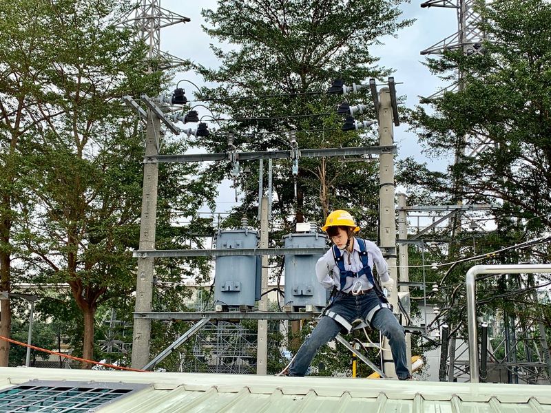 IEA：能源就業人數超過疫情前水準 增長動能來自綠能