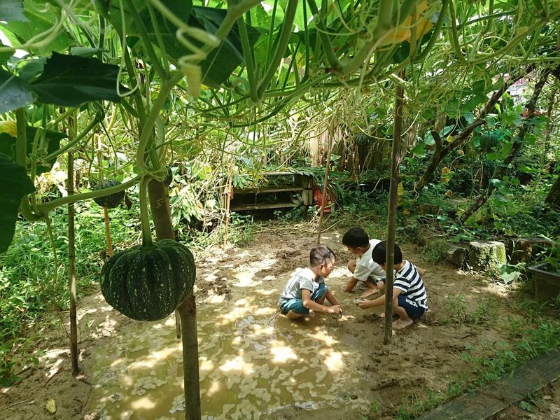 土髒髒、落葉一定要掃乾淨嗎？ 都市公園「自然遊戲」的軟體思維