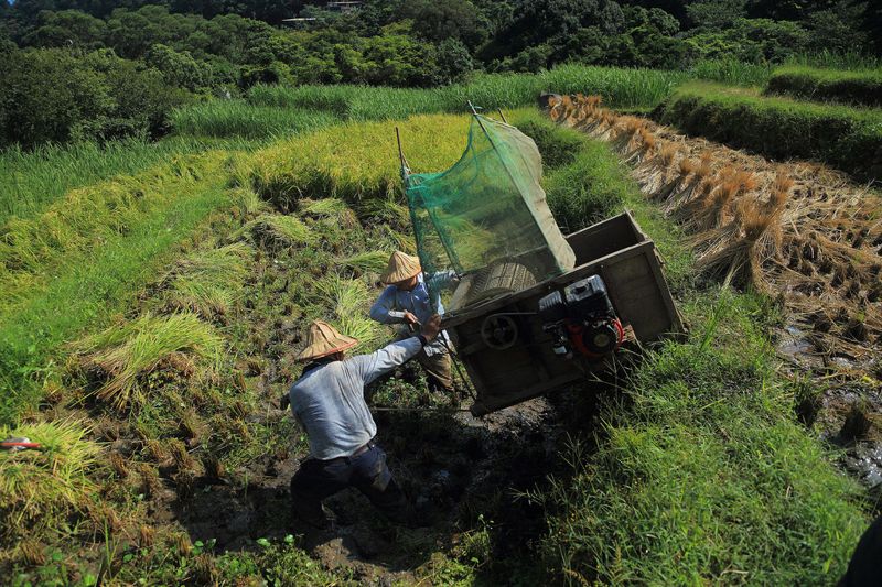 國土綠網起步 以生態農業打造生產地景是關鍵