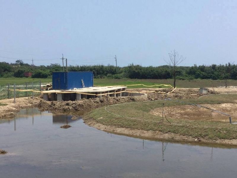 中華鳥會：當生態工法不再生態 譴責清水濕地不當工程