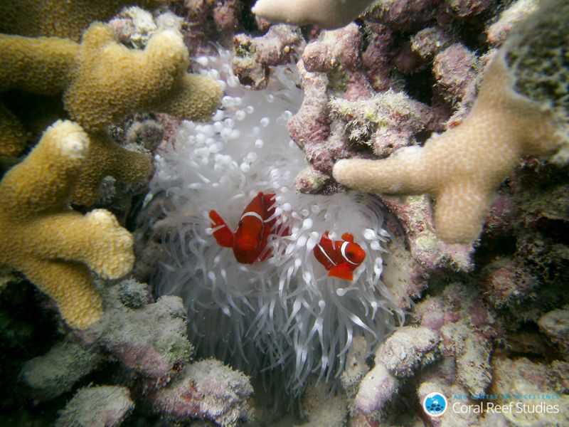 IUCN示警：氣候變遷已成為自然襲產的頭號威脅