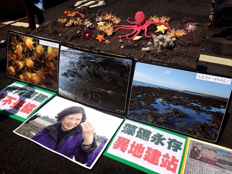 428凱道音樂會 環團聯合為藻礁請命