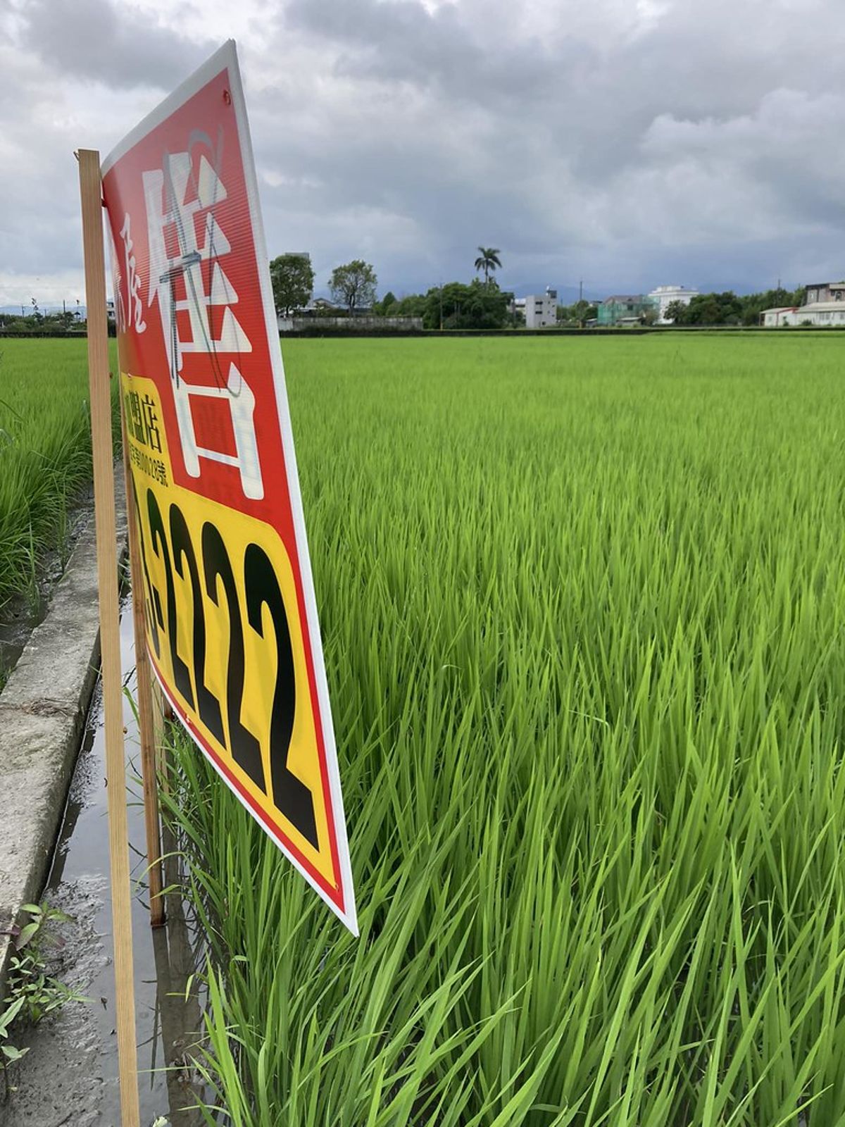 宜蘭流失農地遽增 在地小農發起「一坪地主計畫」對抗開發洪流